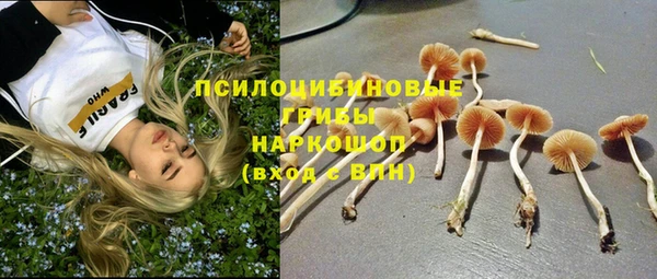 a pvp Баксан